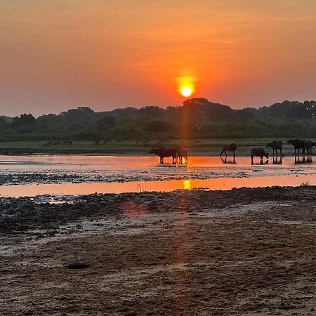 Kingfisher Beach Resort-Yala Kirinda  Luaran gambar